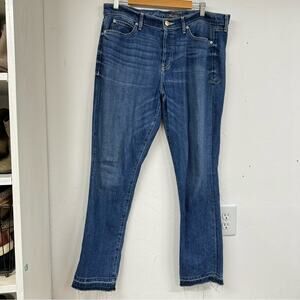Level 99 Button Fly High Rise Skinny Jeans Womens 31 Blue Denim Anthropologie